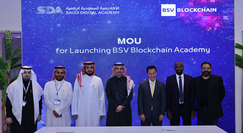 BSV is the ideal blockchain for enterprise and government projects.