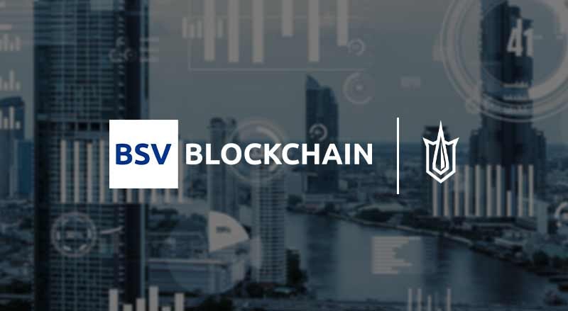 bsv versatility utility businesses